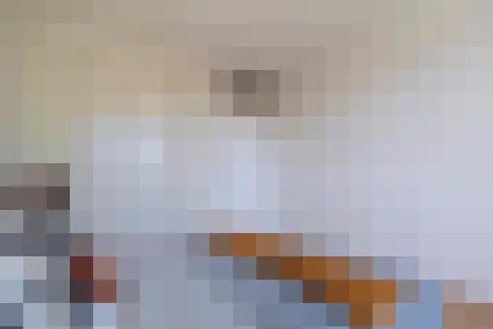 Lodewijkdonk 15 Roosendaal thumbnail 23