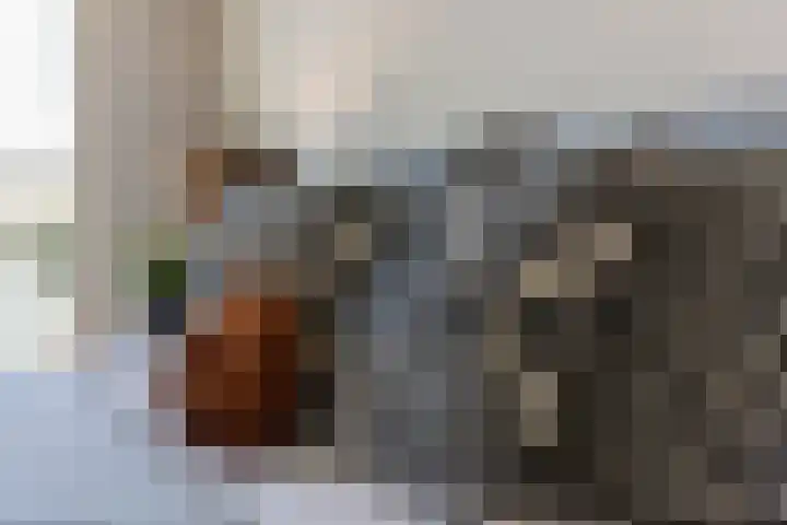 Lodewijkdonk 15 Roosendaal thumbnail 24