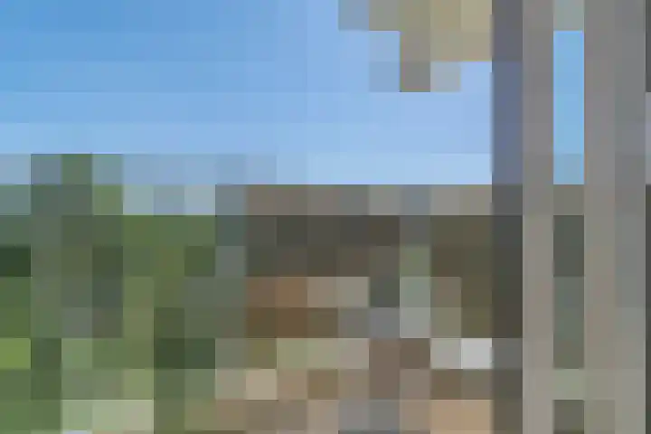 Lodewijkdonk 15 Roosendaal thumbnail 25
