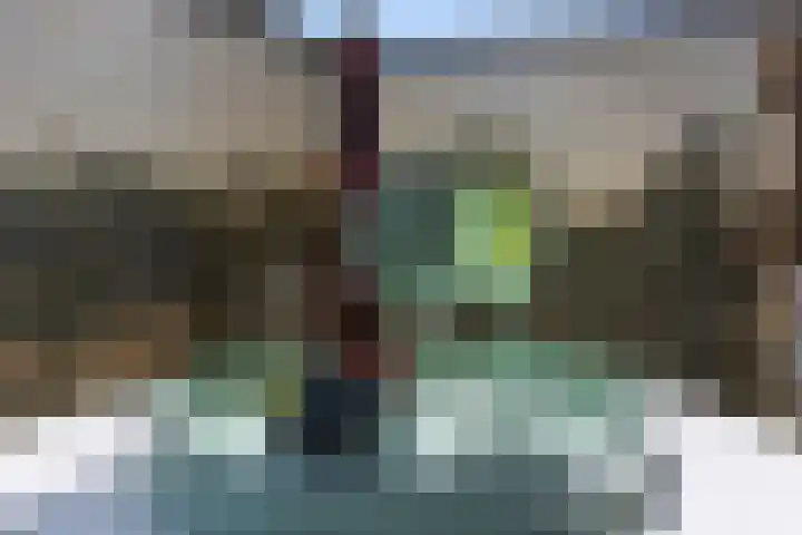 Lodewijkdonk 15 Roosendaal thumbnail 26