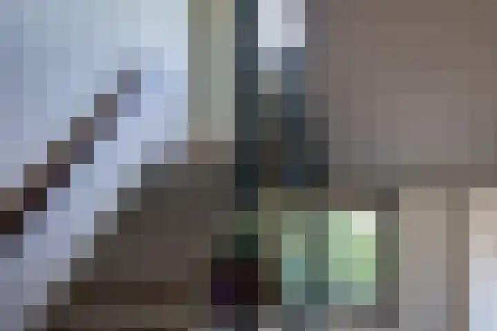 Lodewijkdonk 15 Roosendaal thumbnail 31