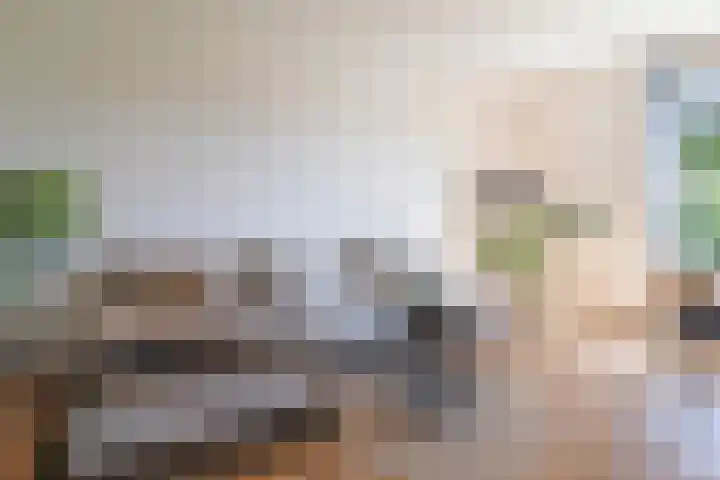Lodewijkdonk 15 Roosendaal thumbnail 4