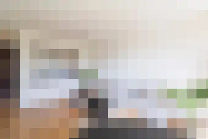 Lodewijkdonk 15 Roosendaal thumbnail 8