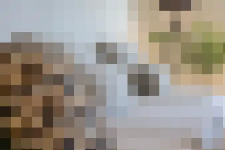 Lodewijkdonk 15 Roosendaal thumbnail 9