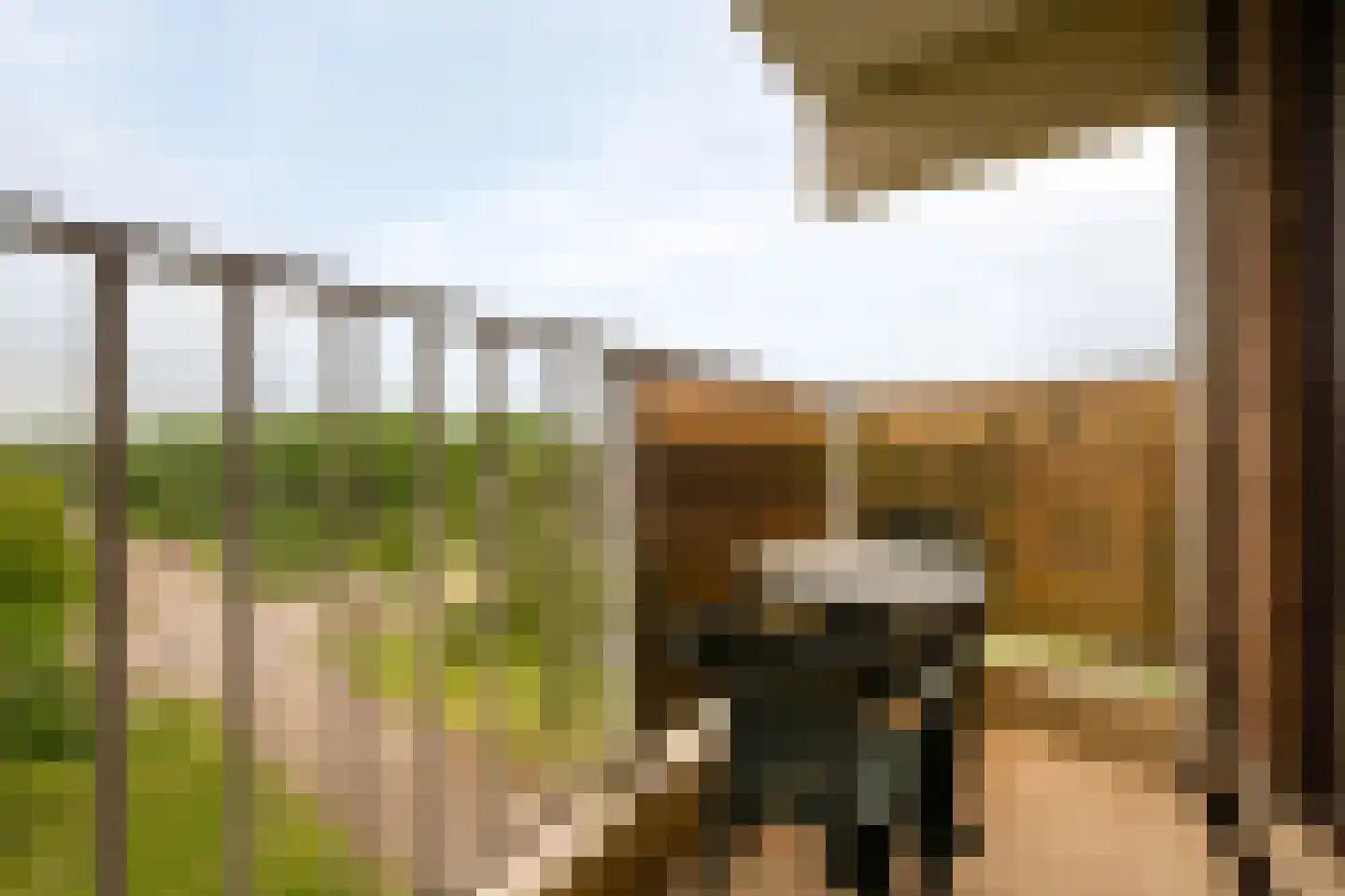 Lodewijkdonk 23 Roosendaal thumbnail 13