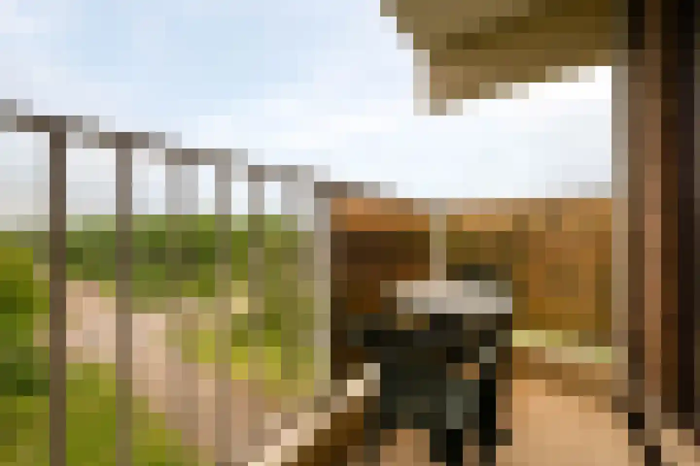 Lodewijkdonk 23 Roosendaal thumbnail 13