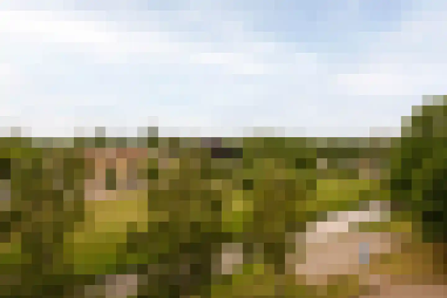 Lodewijkdonk 23 Roosendaal thumbnail 14