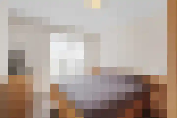 Lodewijkdonk 29 Roosendaal thumbnail 12