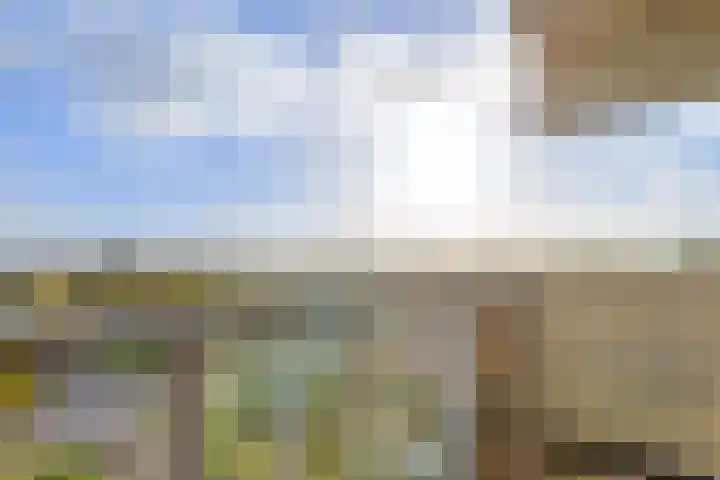 Lodewijkdonk 29 Roosendaal thumbnail 15