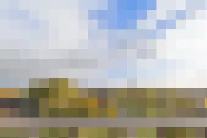 Lodewijkdonk 29 Roosendaal thumbnail 16