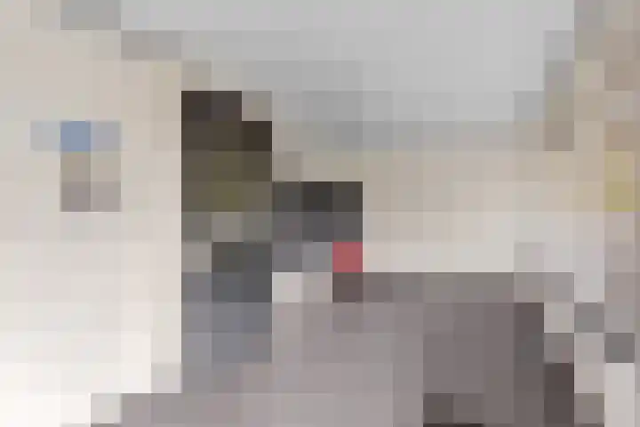 Lodewijkdonk 29 Roosendaal thumbnail 26