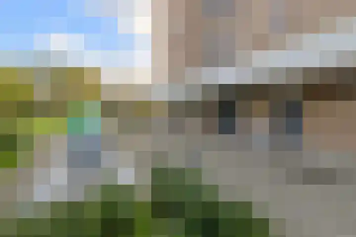 Lodewijkdonk 29 Roosendaal thumbnail 28