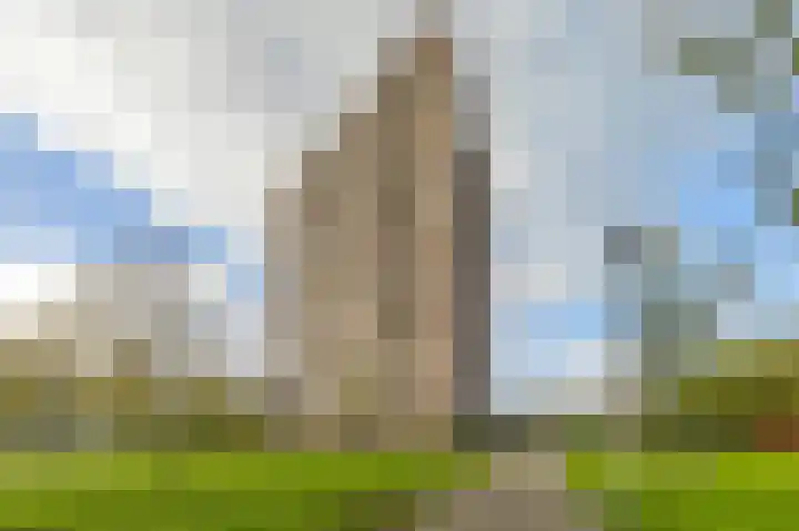 Lodewijkdonk 29 Roosendaal thumbnail 29