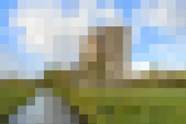 Lodewijkdonk 29 Roosendaal thumbnail 32