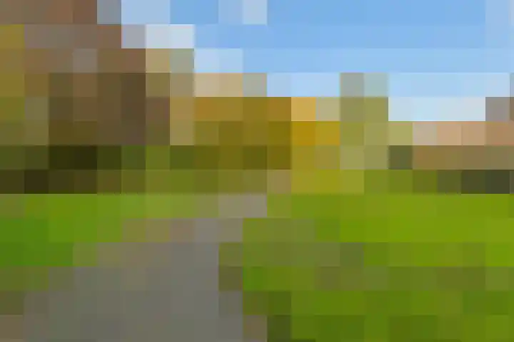 Lodewijkdonk 29 Roosendaal thumbnail 34