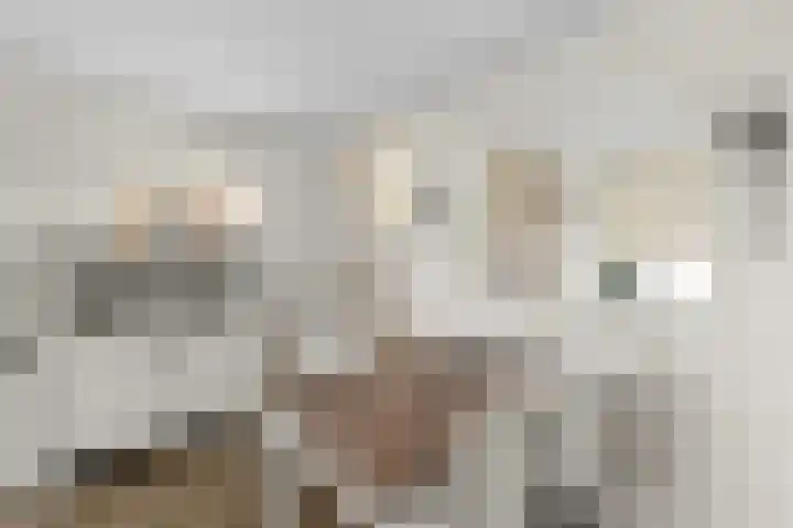 Lodewijkdonk 29 Roosendaal thumbnail 6