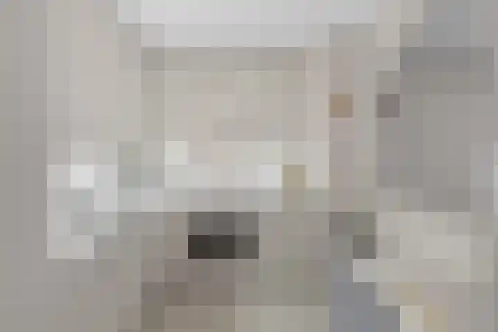 Lodewijkdonk 29 Roosendaal thumbnail 8