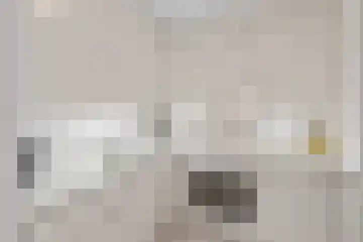 Lodewijkdonk 29 Roosendaal thumbnail 9