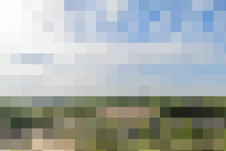 Lodewijkdonk 41 Roosendaal thumbnail 23