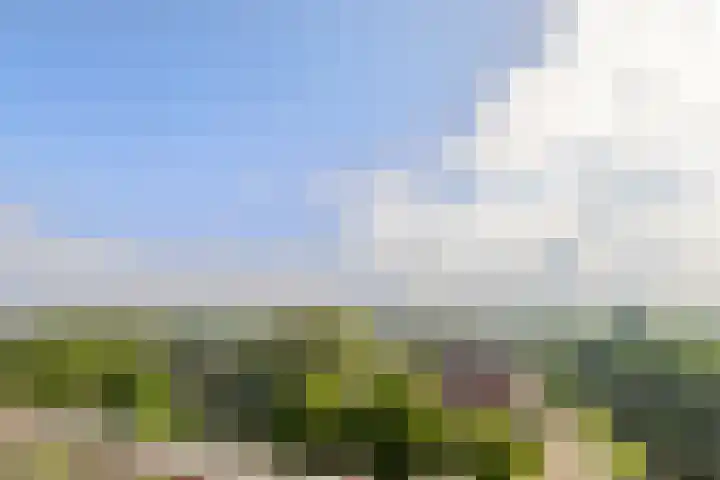 Lodewijkdonk 41 Roosendaal thumbnail 24