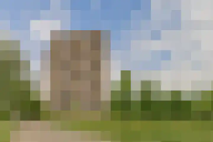 Lodewijkdonk 41 Roosendaal thumbnail 31