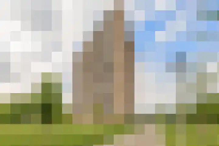 Lodewijkdonk 41 Roosendaal thumbnail 33