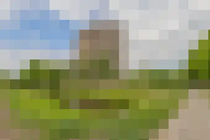 Lodewijkdonk 41 Roosendaal thumbnail 34