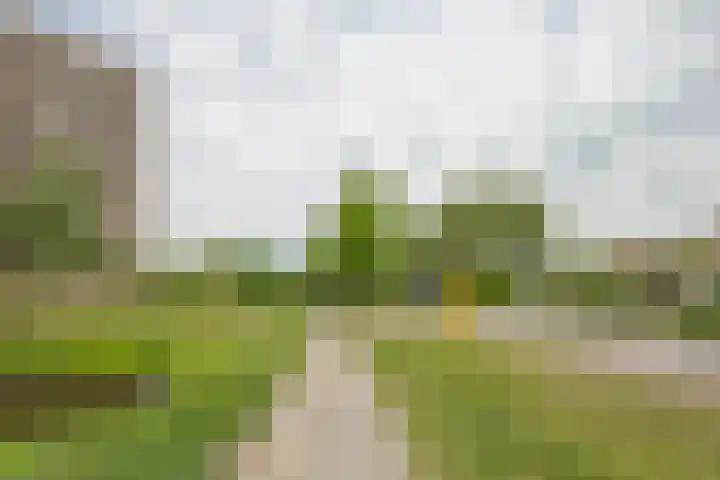 Lodewijkdonk 41 Roosendaal thumbnail 35
