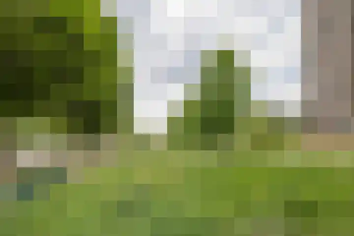 Lodewijkdonk 41 Roosendaal thumbnail 36