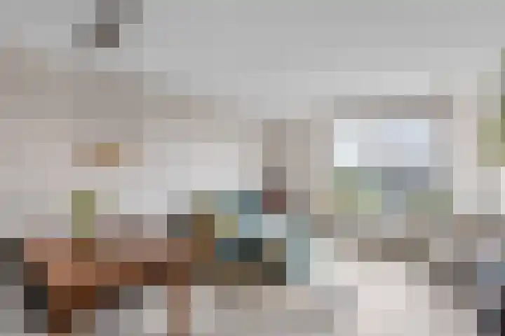 Lodewijkdonk 41 Roosendaal thumbnail 8