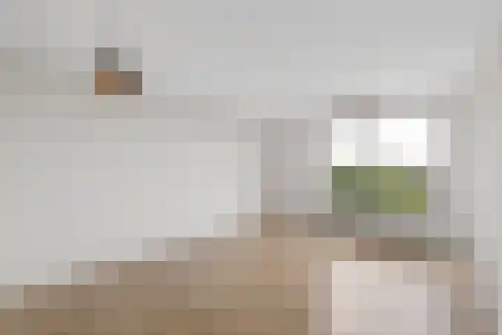 Lodewijkdonk 43 Roosendaal thumbnail 12