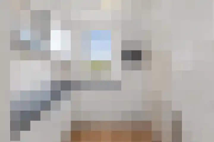 Lodewijkdonk 43 Roosendaal thumbnail 18