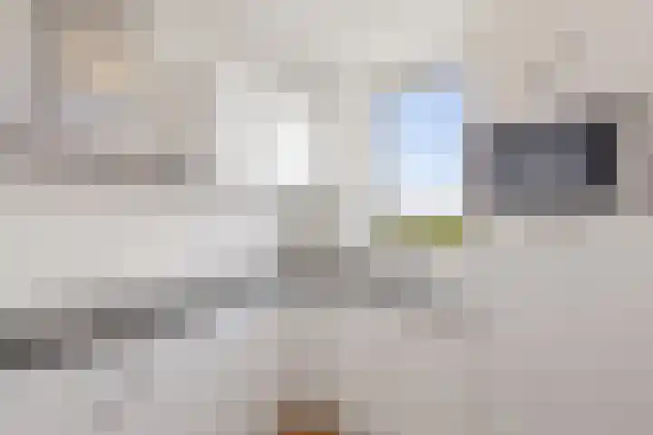 Lodewijkdonk 43 Roosendaal thumbnail 19