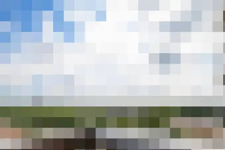 Lodewijkdonk 43 Roosendaal thumbnail 38