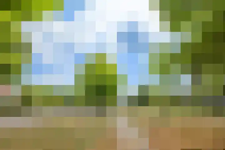 Lodewijkdonk 43 Roosendaal thumbnail 49