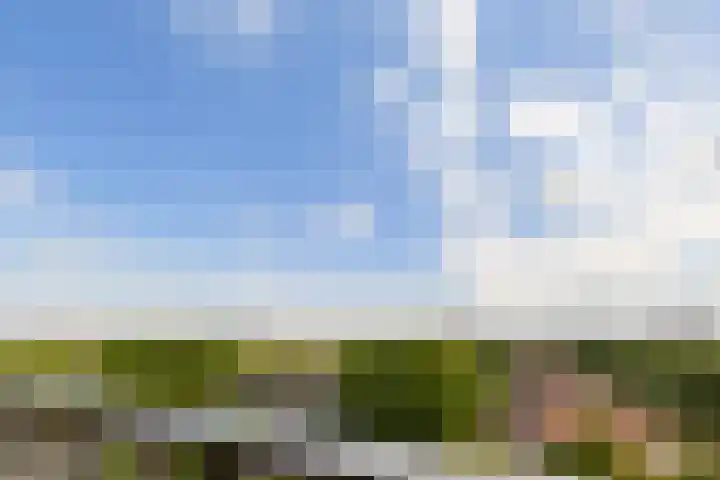 Lodewijkdonk 43 Roosendaal thumbnail 5