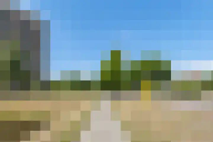 Lodewijkdonk 43 Roosendaal thumbnail 50