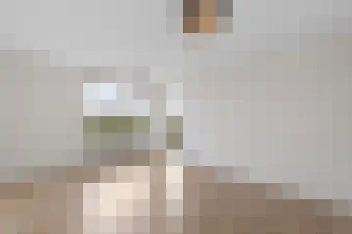 Lodewijkdonk 43 Roosendaal thumbnail 6