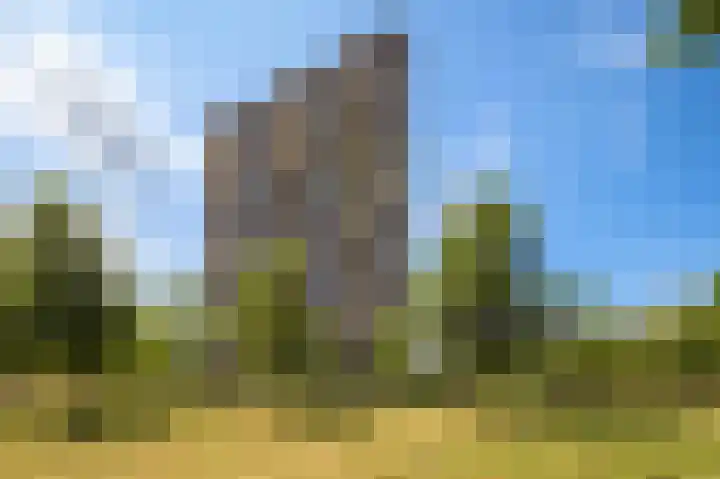 Lodewijkdonk 43 Roosendaal thumbnail 64