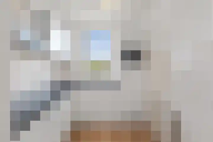 Lodewijkdonk 43 Roosendaal thumbnail 7