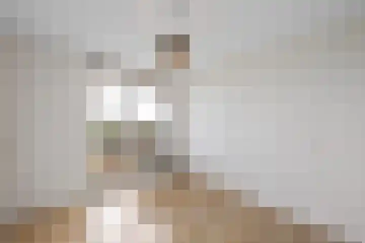 Lodewijkdonk 43 Roosendaal thumbnail 8