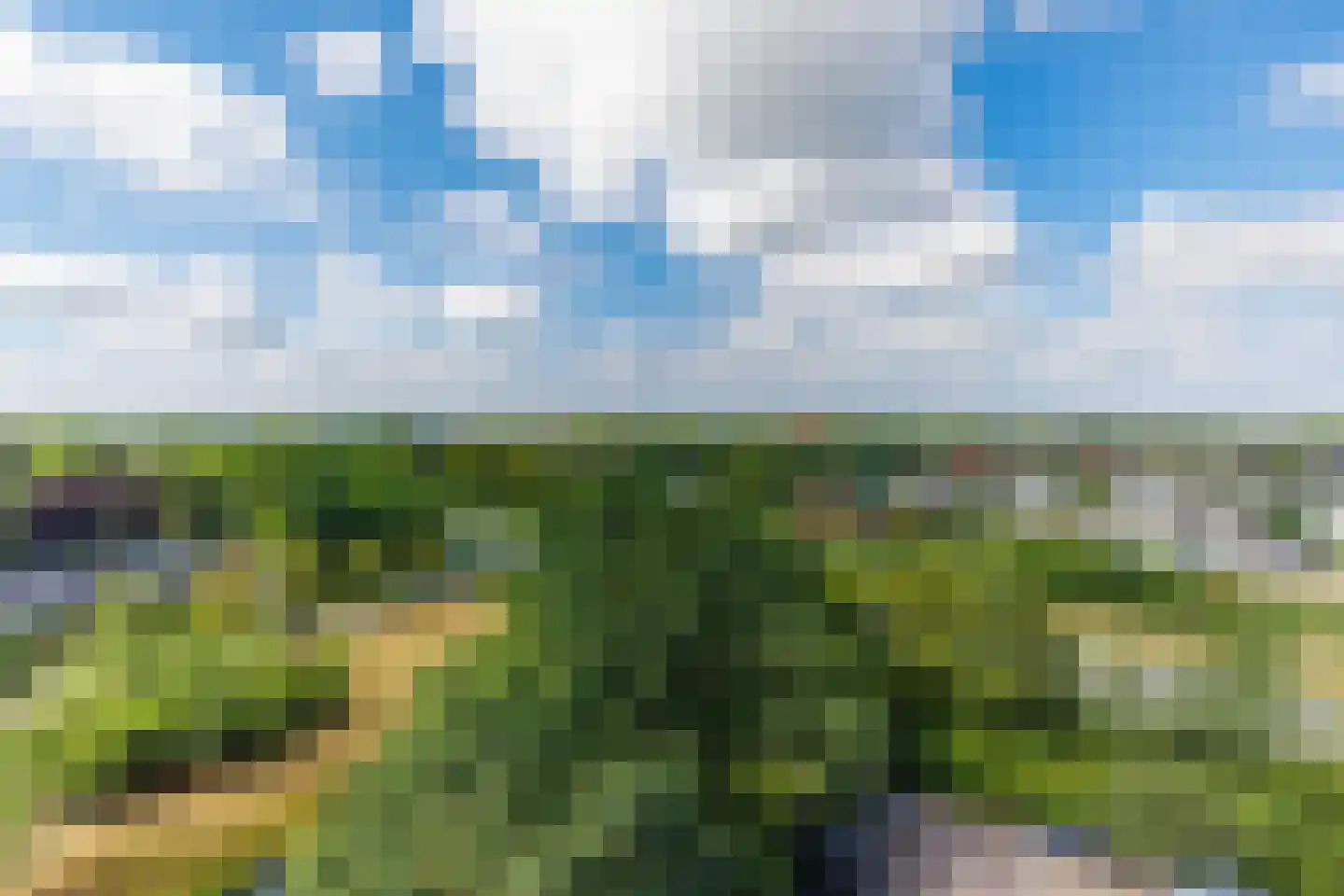 Lodewijkdonk 46 Roosendaal thumbnail 31