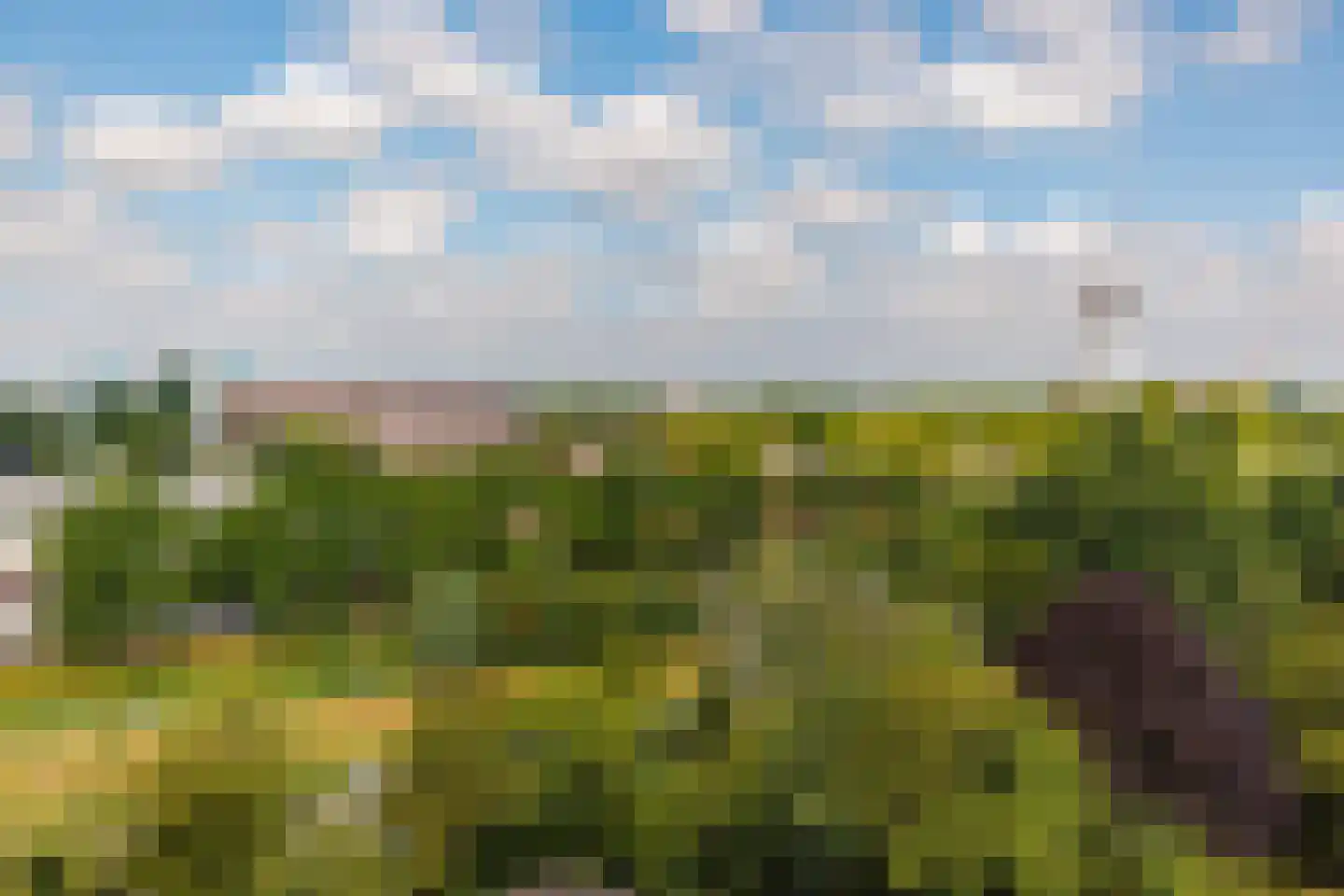 Lodewijkdonk 46 Roosendaal thumbnail 4