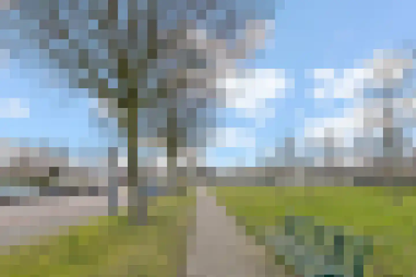 Lodewijkdonk 50 Roosendaal thumbnail 43