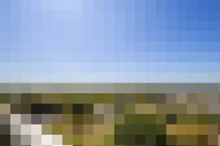Lodewijkdonk 60 Roosendaal thumbnail 34
