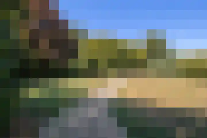 Lodewijkdonk 60 Roosendaal thumbnail 47