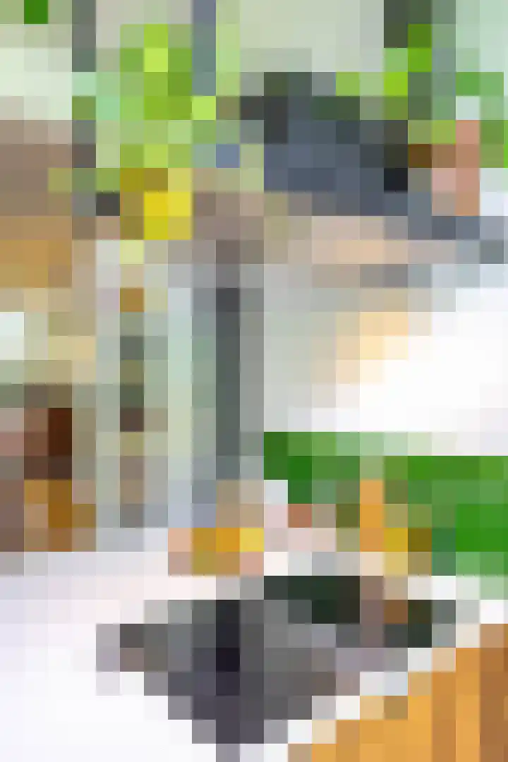 Lodewijkstraat 12 Groningen thumbnail 25