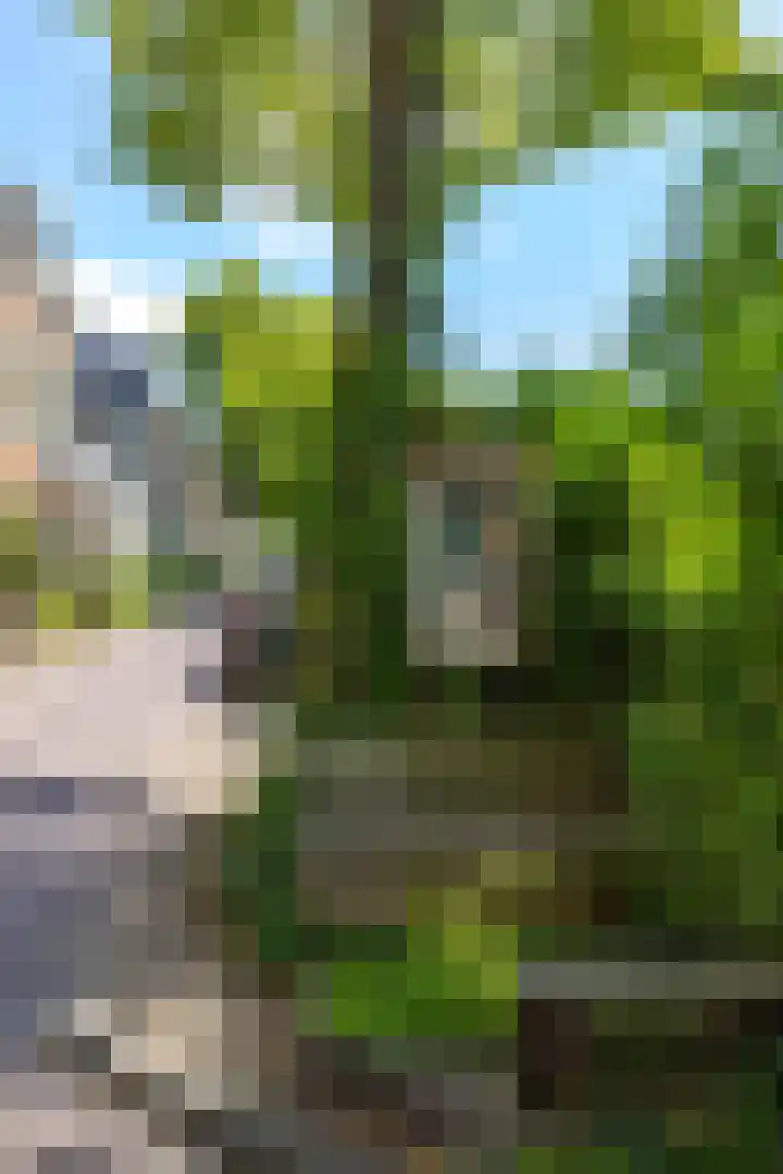 Lodewijkstraat 12 Groningen thumbnail 58