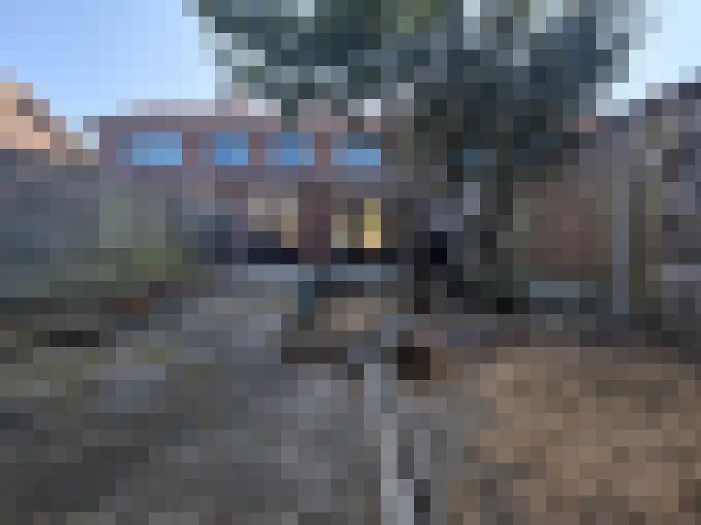 Lodewijkstraat 31 Dordrecht thumbnail 26
