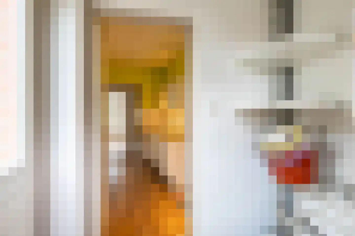 Lodewijkstraat 45 a Groningen thumbnail 22